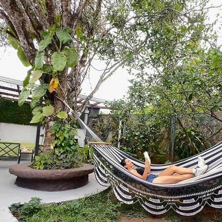 Montefresco Boutique Hostel モンテベルデ エクステリア 写真